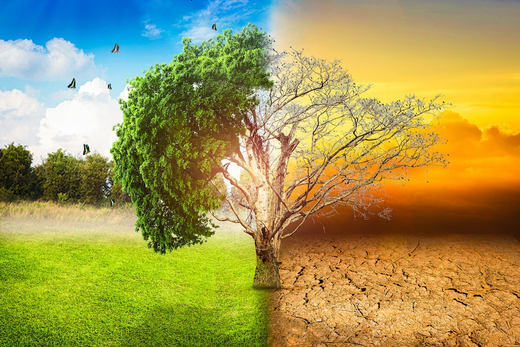 Comprometidos con la creación