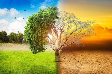 Cuidando la creación de Dios