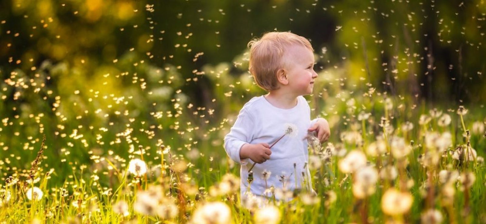 40 Habitos para peques altamente sensibles