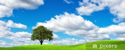 banner_ecologia03