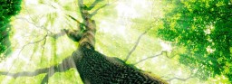 banner_ecologia01.jpg