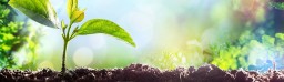 banner_ecologia06.jpg