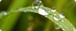 banner_ecologia04.jpg